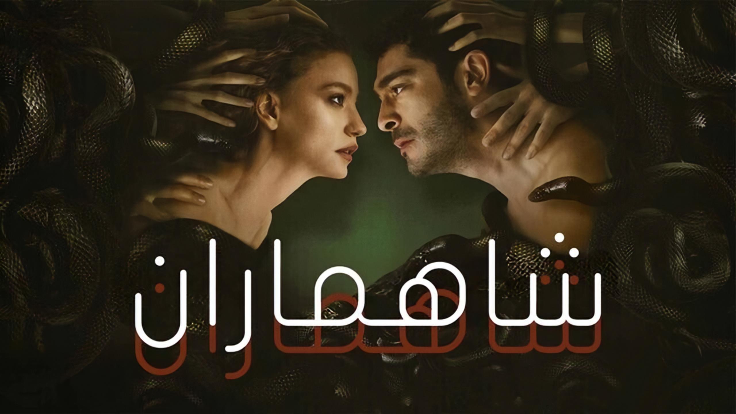 مشاهدة الفيديو