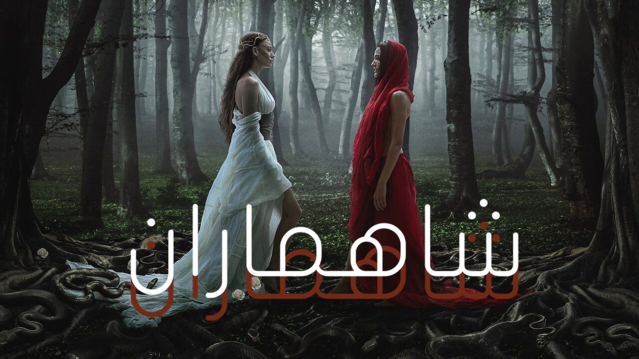 مشاهدة الفيديو